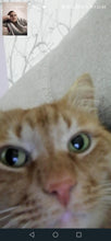 Load image into Gallery viewer, Test mobile
