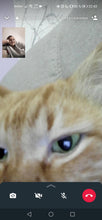 Load image into Gallery viewer, Test mobile
