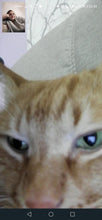 Load image into Gallery viewer, Test mobile
