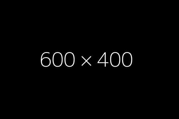 300х100